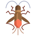 Boxelder Bug icon