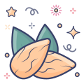 Almonds icon