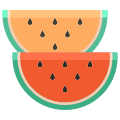 Watermelon icon