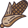 Corn icon