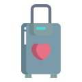 Travel Bag icon