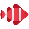 Clown Fish icon