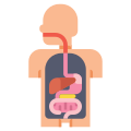 Digestion icon