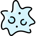 Amoeba icon