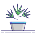 Dracaena icon