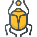 Scarabeus icon