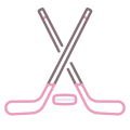Hockey sobre hielo icon