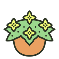 Begonia icon