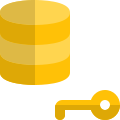Secured Network authentication key Logotype isolated on a white background icon