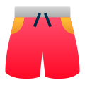 Shorts icon