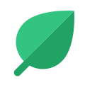 Leaf icon