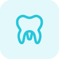 Molar teeth isolated on a white background icon