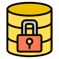 Database Security icon