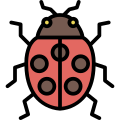 Ladybug icon