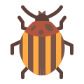 колорадский жук icon