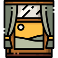 Window icon