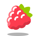 Raspberry icon