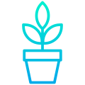 阳光下的植物 icon