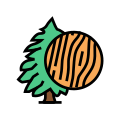 Cedar icon