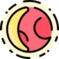 Eclipse icon