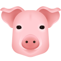돼지 얼굴 이모티콘 icon