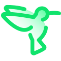 Hummingbird icon