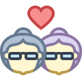 奶奶女同性恋 icon