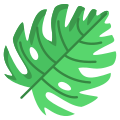 Monstera Leaf icon