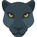 Jaguar noire icon