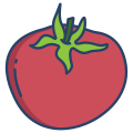 Tomato icon