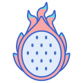 Fruit du dragon icon