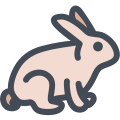 Bunny icon