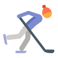 ледяной хоккей-тип кожи-2 icon