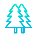 Pine Trees icon