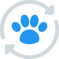 Pet Insurance Renewal icon