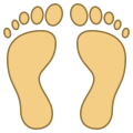 Empreintes pieds humains icon