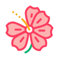 Hibiscus icon