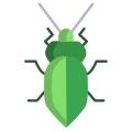 Stink Bug icon