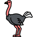 Ostrich icon