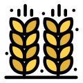 Grain icon