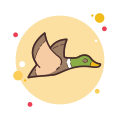 Flying Duck icon