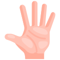 Ganze Hand icon