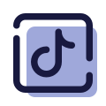 Tiktok icon