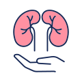 Kidney Care icon