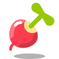 Radish icon