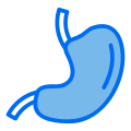 Stomach icon