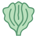 Salade icon