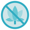 No Marijuana icon