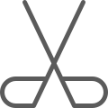 Hockey Sticks icon