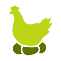 Poulet icon